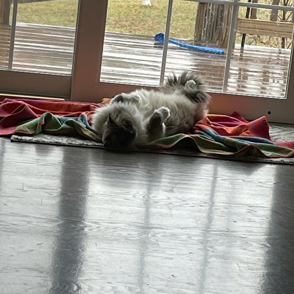 REBRANDING!! - Picture 4 of 13